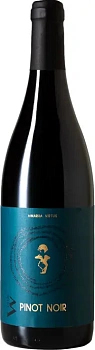 Вино Virtus Pinot Noir   Виртус Пино Нуар  2019  750 мл  13 %