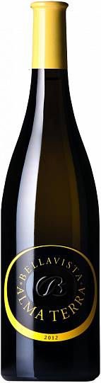 Вино Bellavista Alma Terra Curtefranca Bianco DOC 2020 750 мл