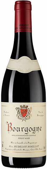 Вино Domaine Hudelot-Noellat Bourgogne Pinot Noir AOC  2019 750 мл