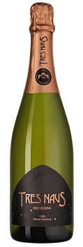 Игристое вино Cellers Domenys Tres Naus Brut Reserva  2018  750 мл
