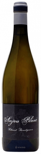 Вино Thibaud Boudignon Anjou Blanc  Тибо Будиньон Анжу Блан  2019 