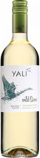 Вино Ventisquero Yali Wild Swan Sauvignon Blanc    2021 750 мл  12 %