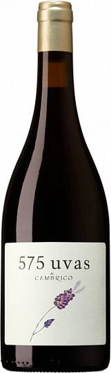 Вино  575 Uvas de Cambrico    575 Увас де Камбрико красное сух