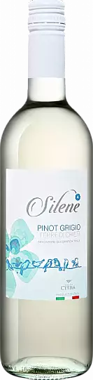 Вино   Silene Pinot Grigio Terre di Chieti IGT  Читра Силене Пино Гр