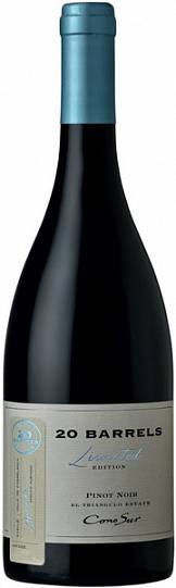 Вино Cono Sur 20 Barrels  Pinot Noir   2019 750 мл