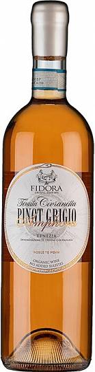 Вино   Fidora  Pinot Grigio Amphora, Venezia DOC   Фидора Пино Гриджи