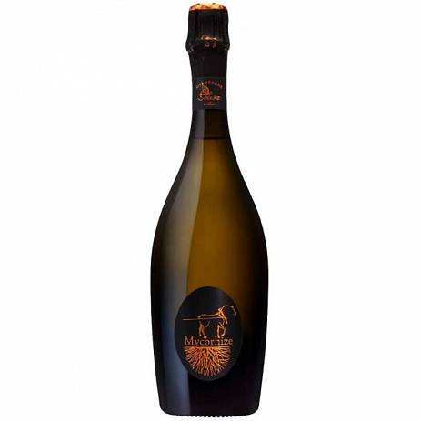 Шампанское De Sousa  Grand Cru Mycorhize Blanc de Blancs Extra Brut   750 мл