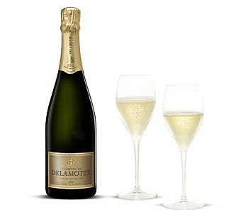 Шампанское Delamotte Blanc des Blancs +  2 glasses  gift in box  750 мл