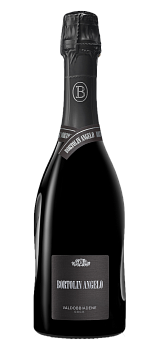 Игристое вино  Bortolin Angelo Prosecco Brut    750 мл