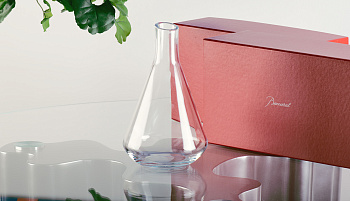 Декантер  Lalique Chateau Baccarat