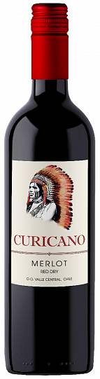 Вино Curicano Merlot red dry 750 мл