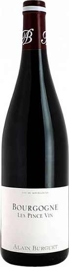 Вино Domaine Alain Burguet Bourgogne Rouge Les Prince Vin 2019 750 мл