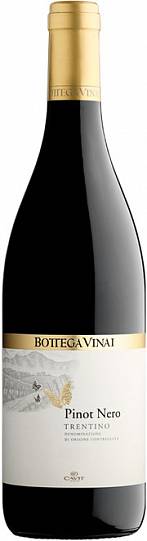 Вино Cavit Bottega Vinai Pinot Nero Trentino DOC   2020 750 мл