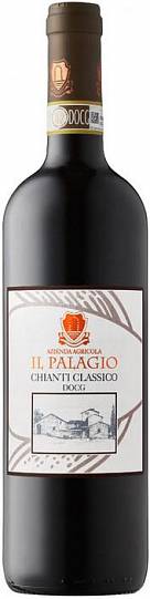 Вино Il Palagio di Panzano Chianti Classico DOCG  2013 750 мл