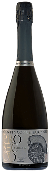 Игристое вино  Cantina Colli Euganei, Prosecco Brut  750 мл  11%