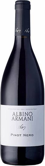Вино Albino Armani  Pinot Nero  Trentino DOC 2019  750 мл