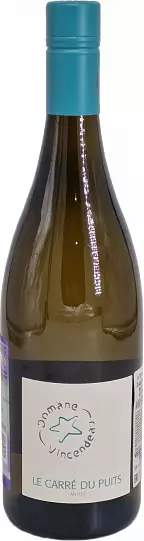 Вино DOMANE VINCENDEAU Le Carre du Puits 750 мл 2021 14%