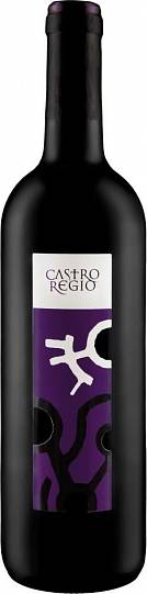 Вино Castro Regio  Red Dry  750 мл