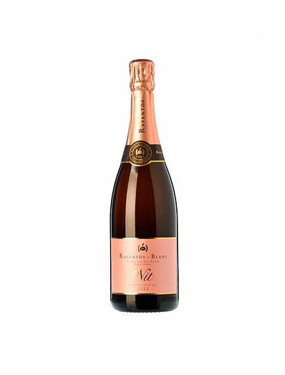 Игристое вино Raventos i Blanc De Nit Brut Rosé  2020 750 мл
