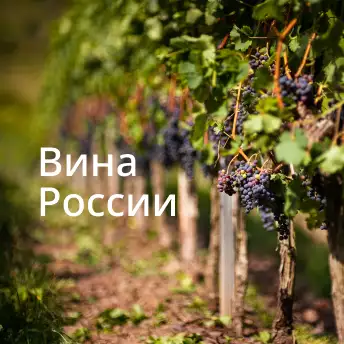 Русские вина